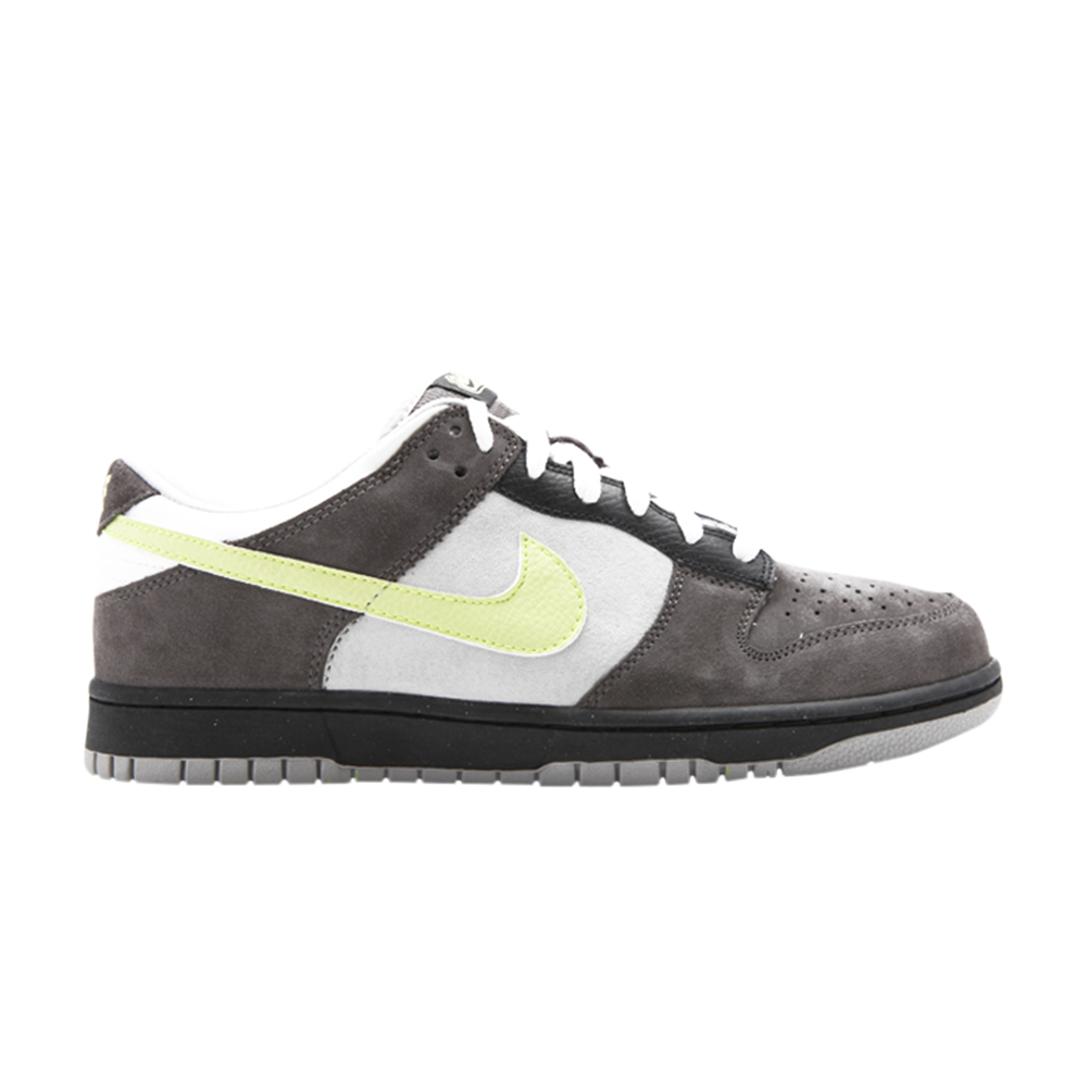Dunk Low 6.0