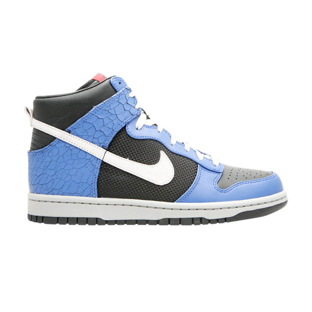 Dunk High Premium