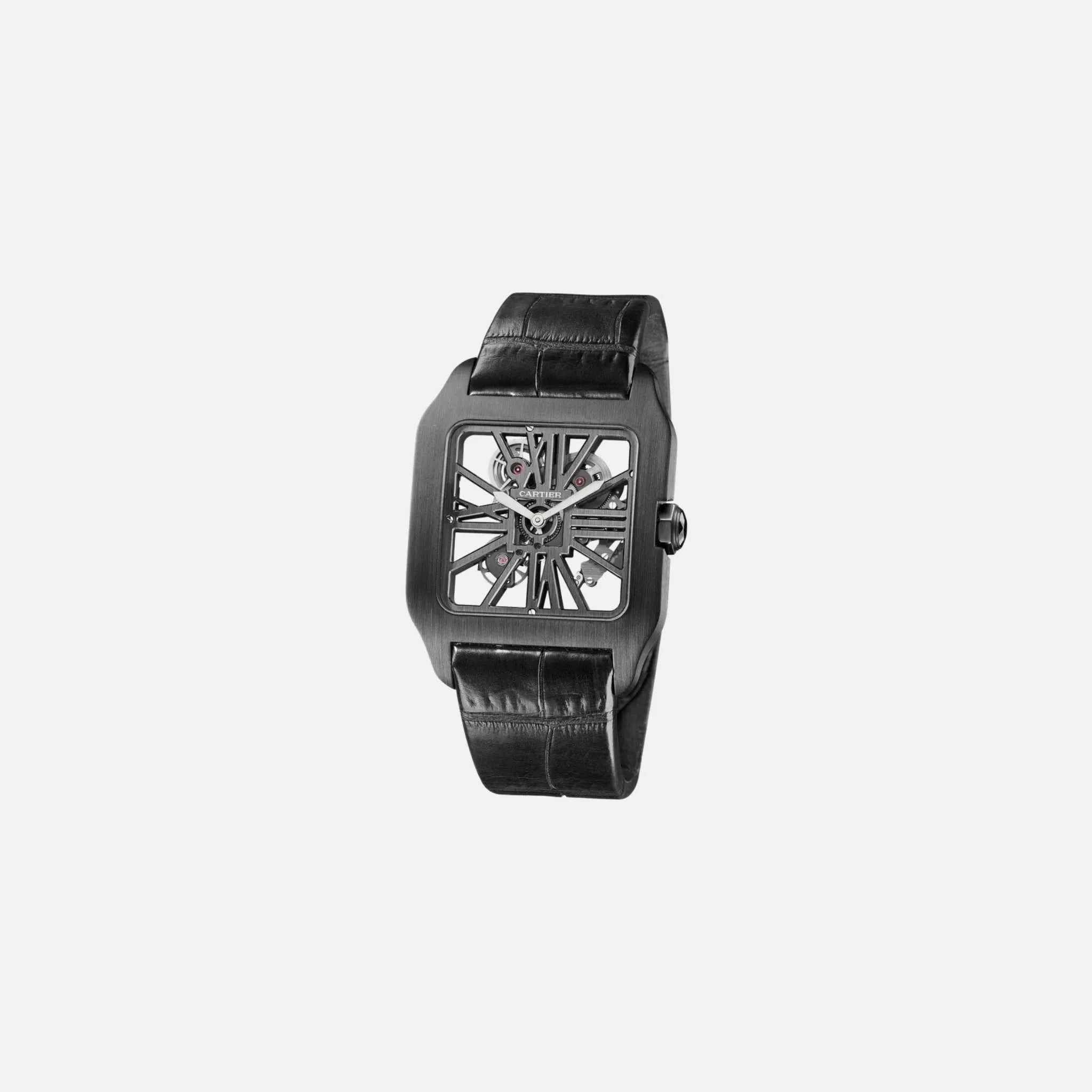 Santos Dumont Skeleton Titanium 39mm W2020052