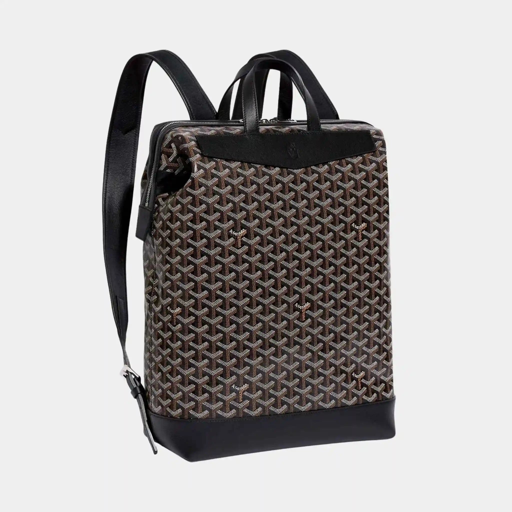 Cisalpin Backpack