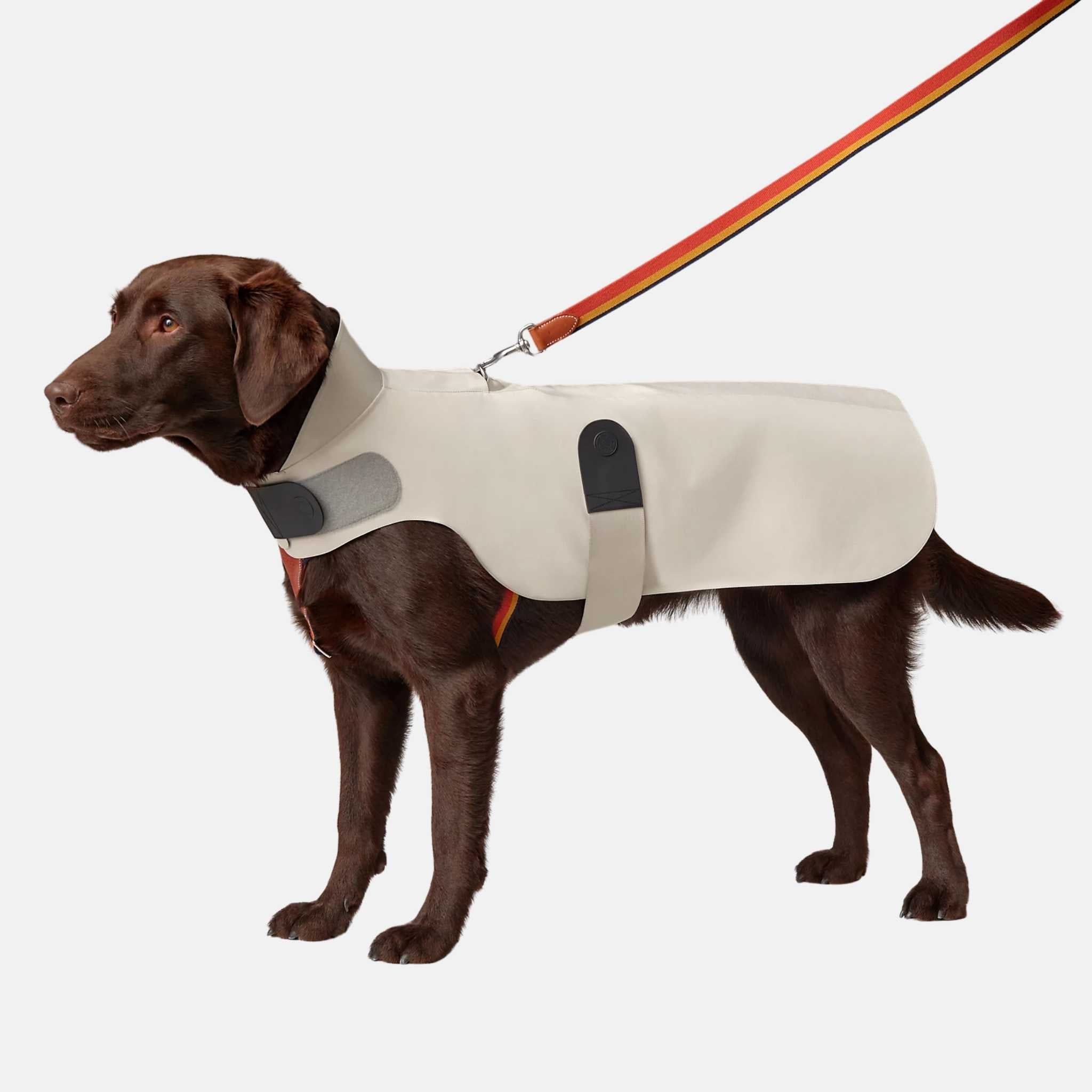 Luxury Dog Raincoat