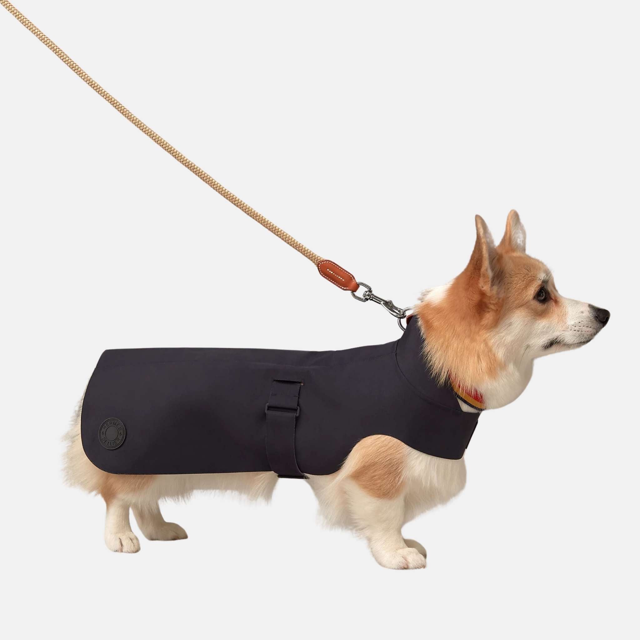 Luxury Dog Raincoat