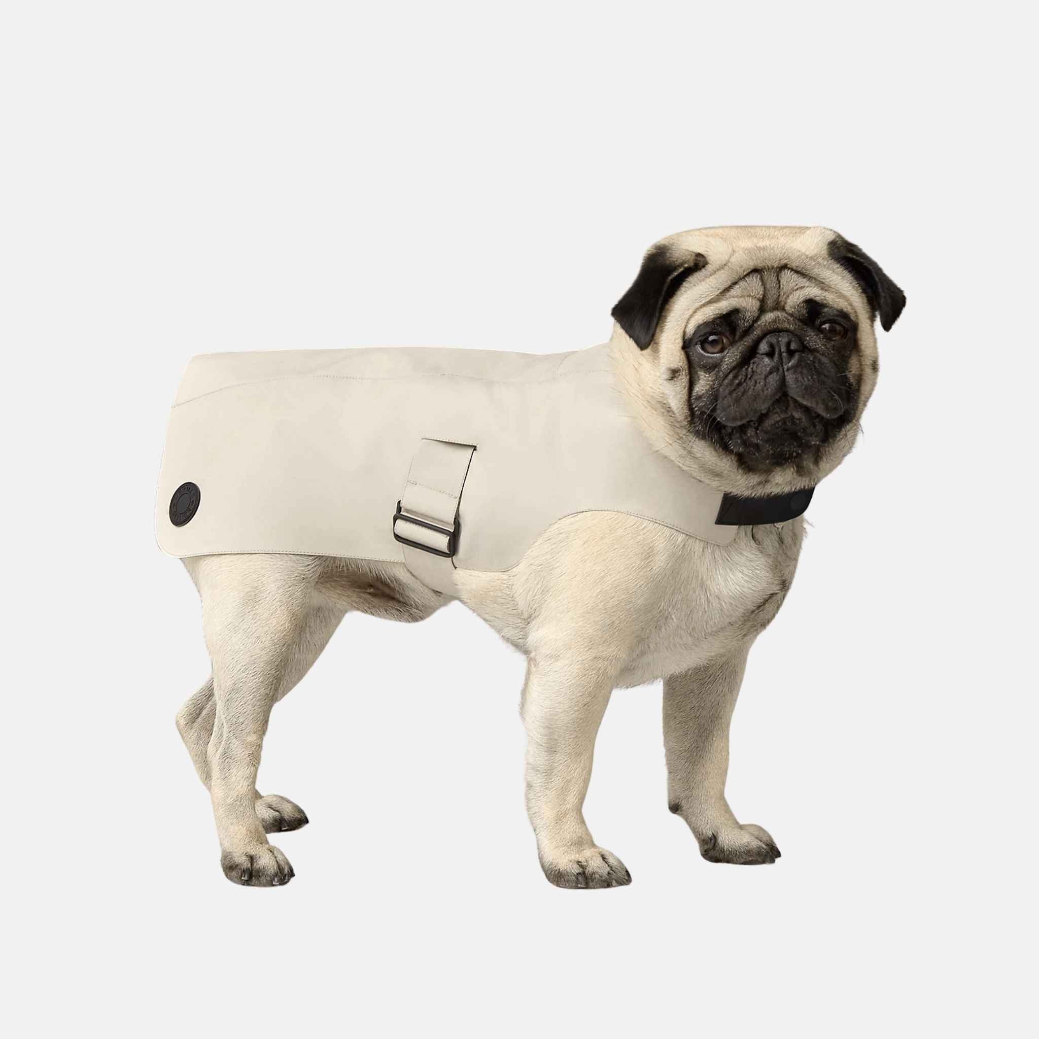 Luxury Dog Raincoat