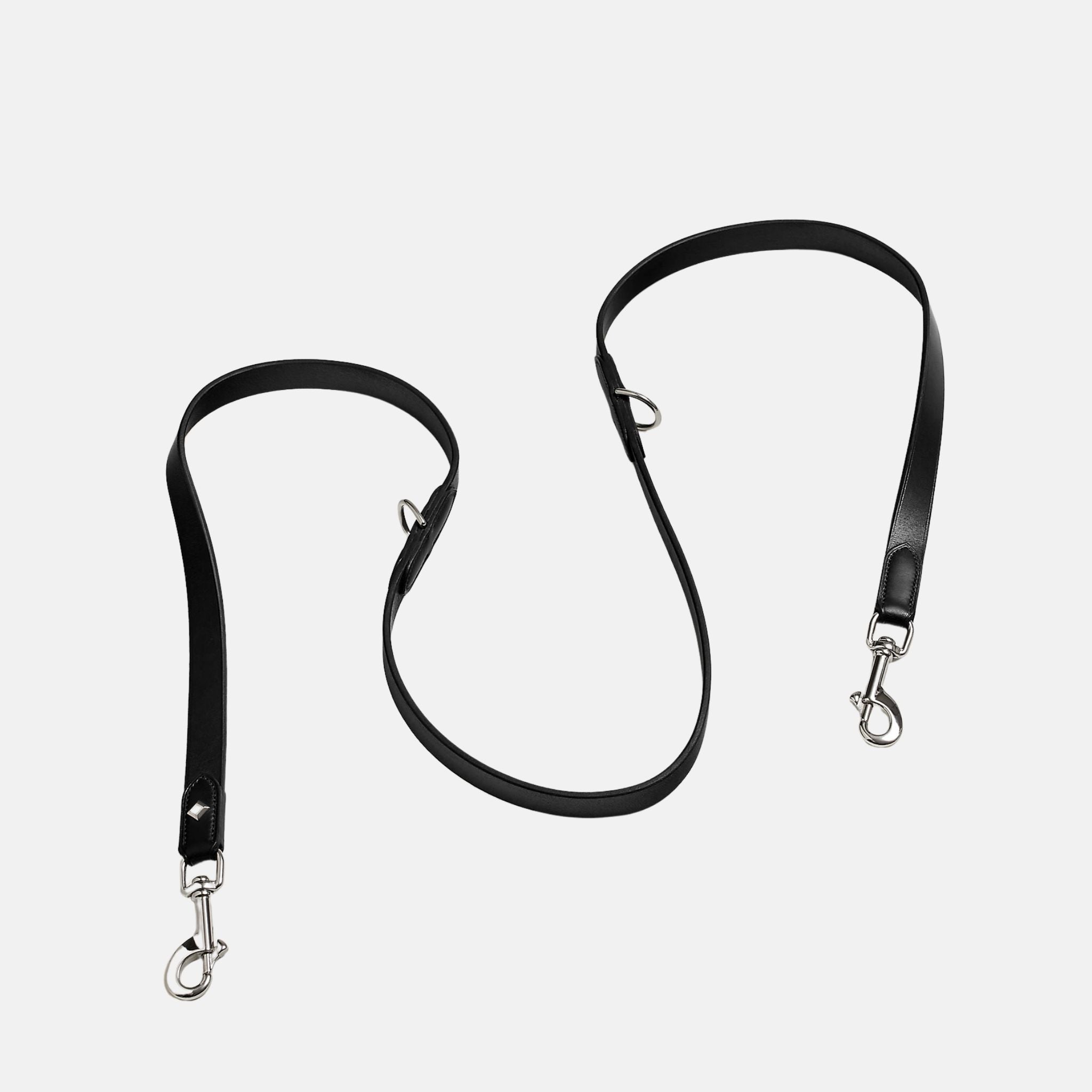 Punch Luxury Dog Leash
