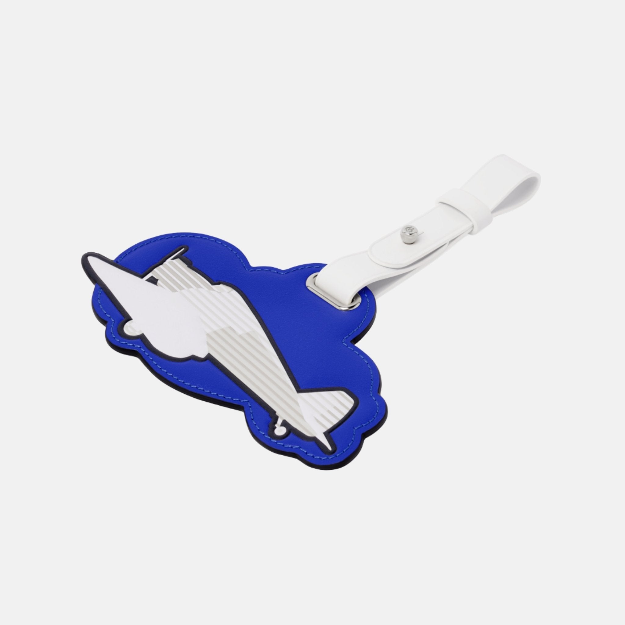 Charm SEIT 1898 Plane