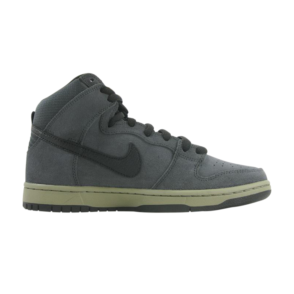 Dunk High Pro Sb