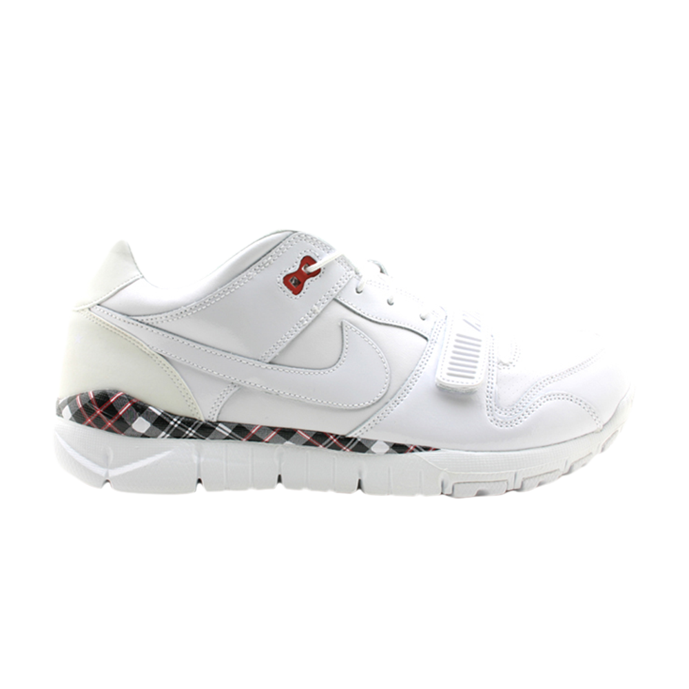Trainer Dunk Low