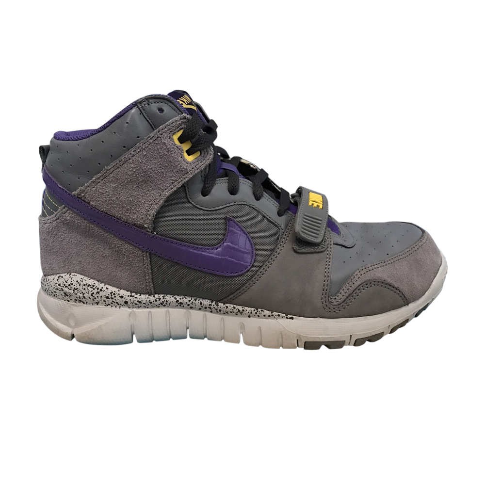 Trainer Dunk High