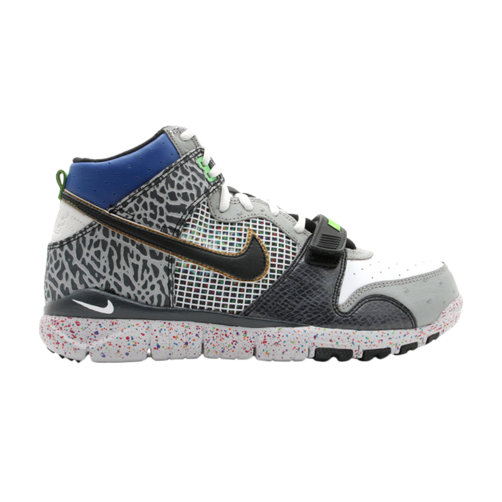 Trainer Dunk High &