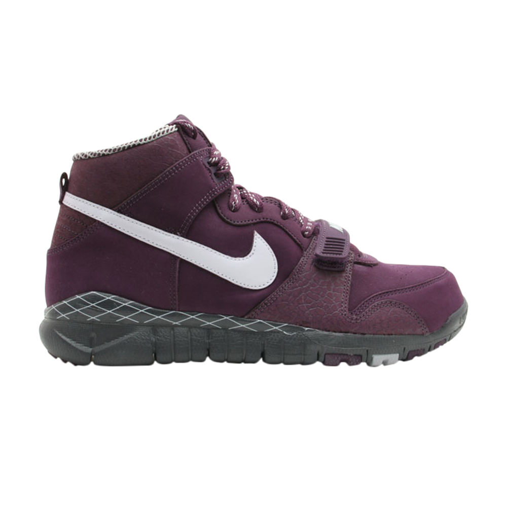 Trainer Dunk High