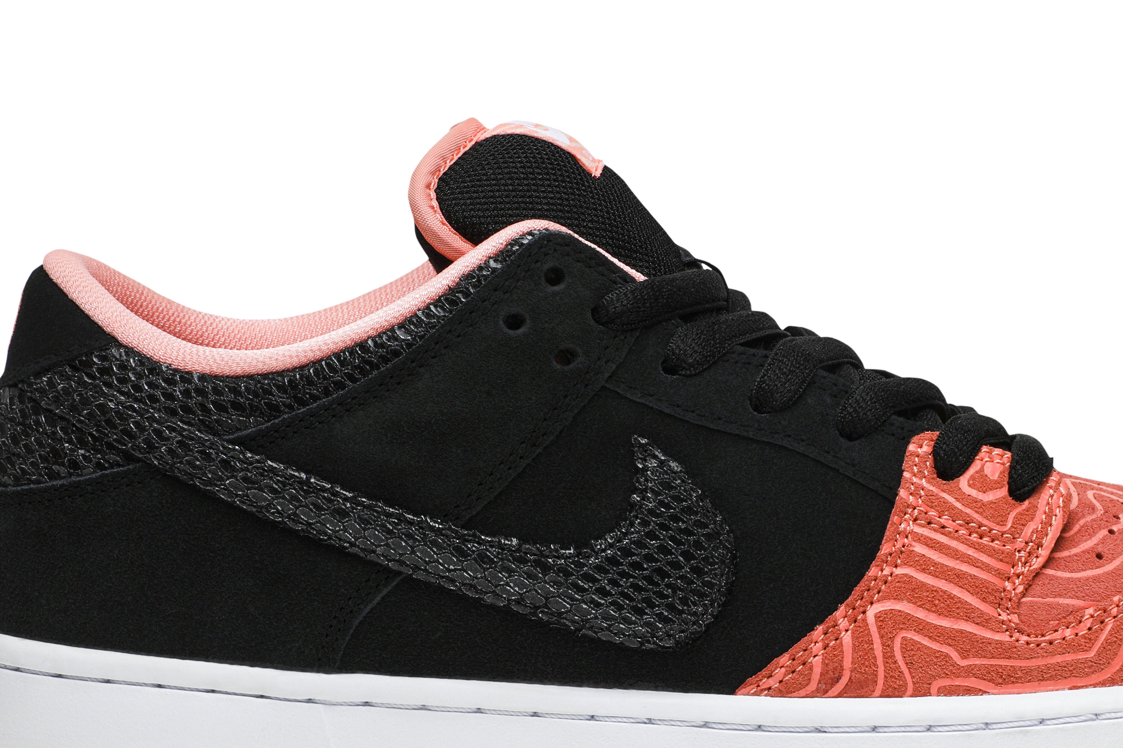 Premier x Dunk Low Pro SB &