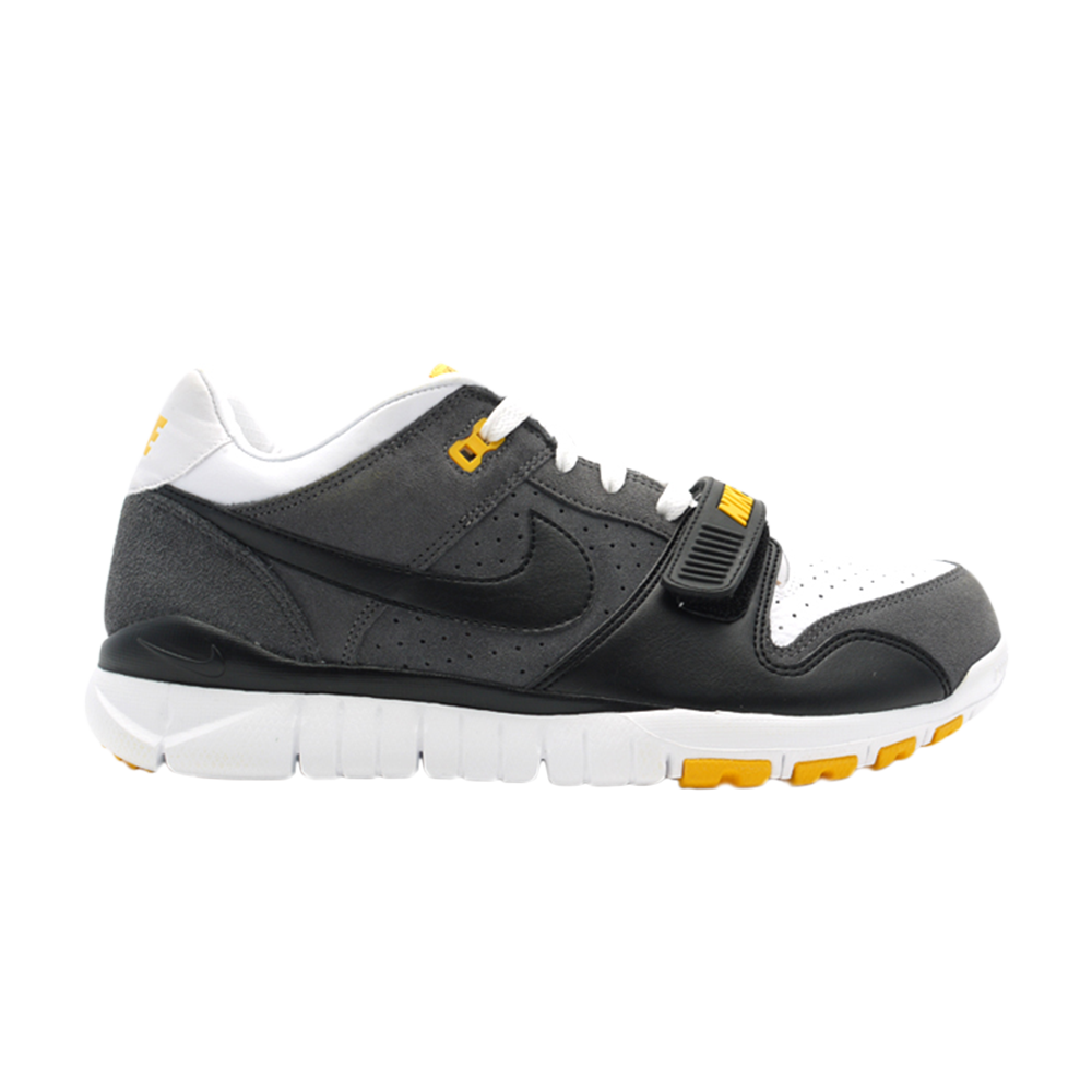 Trainer Dunk Low Usa Laf &