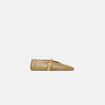 Ballet Flats In Laminated Fishnet