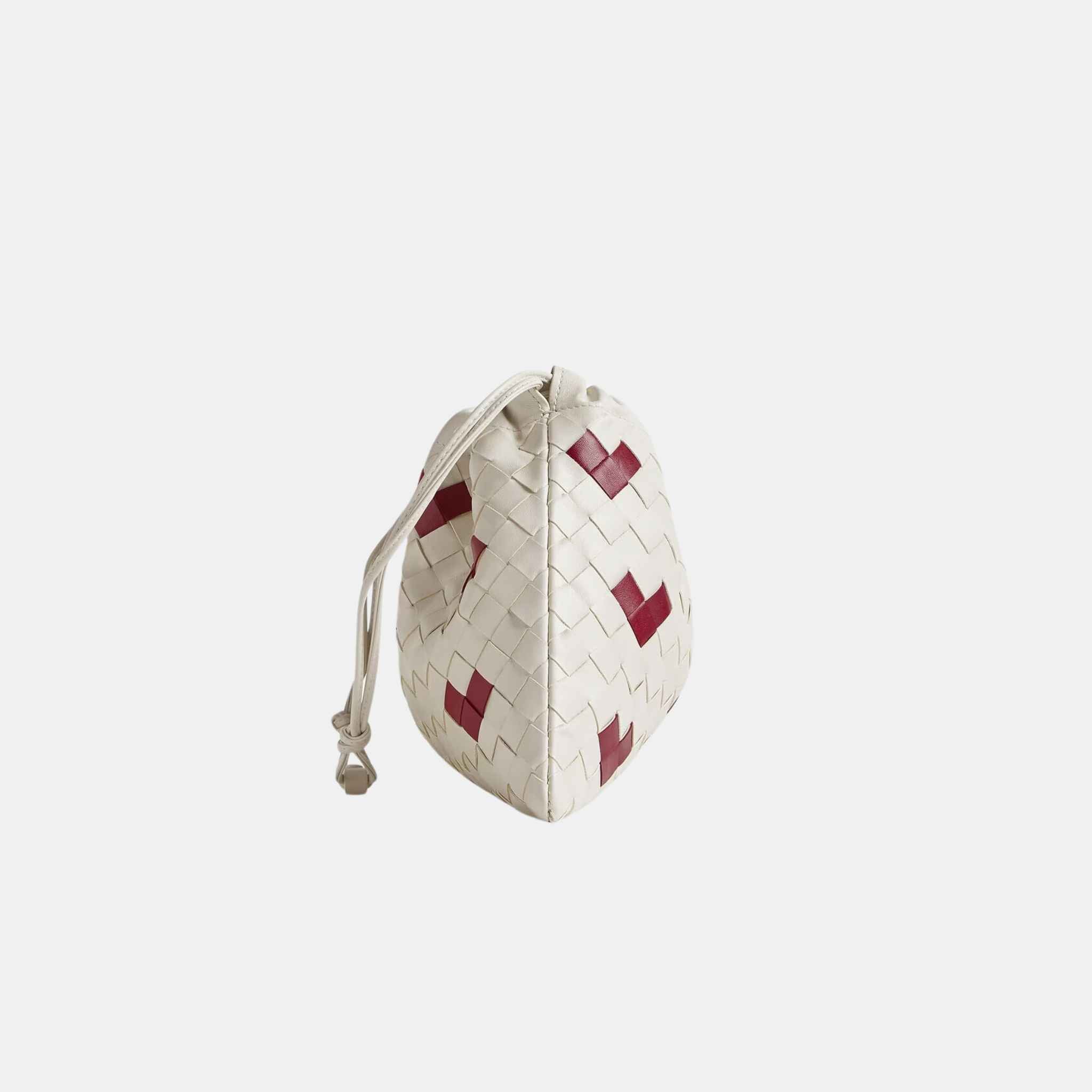 Dustbag With Transformable Strap