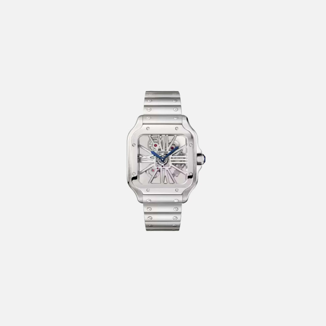 Santos De Cartier Skeleton Steel 40mm WHSA0015