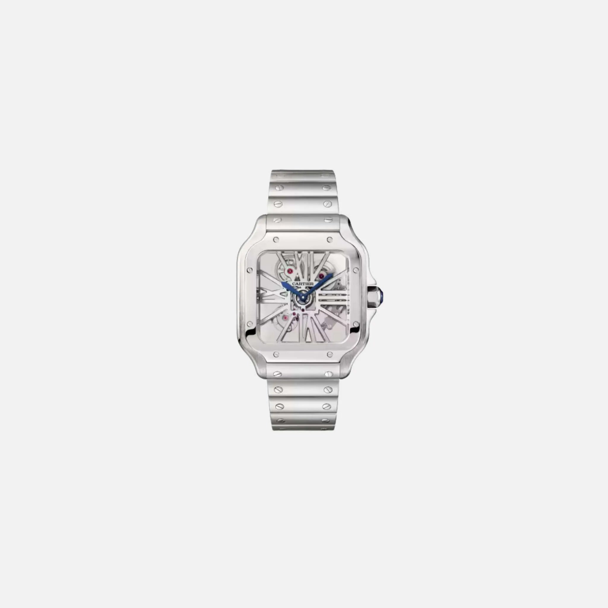 Santos De Cartier Skeleton Steel 40mm WHSA0015