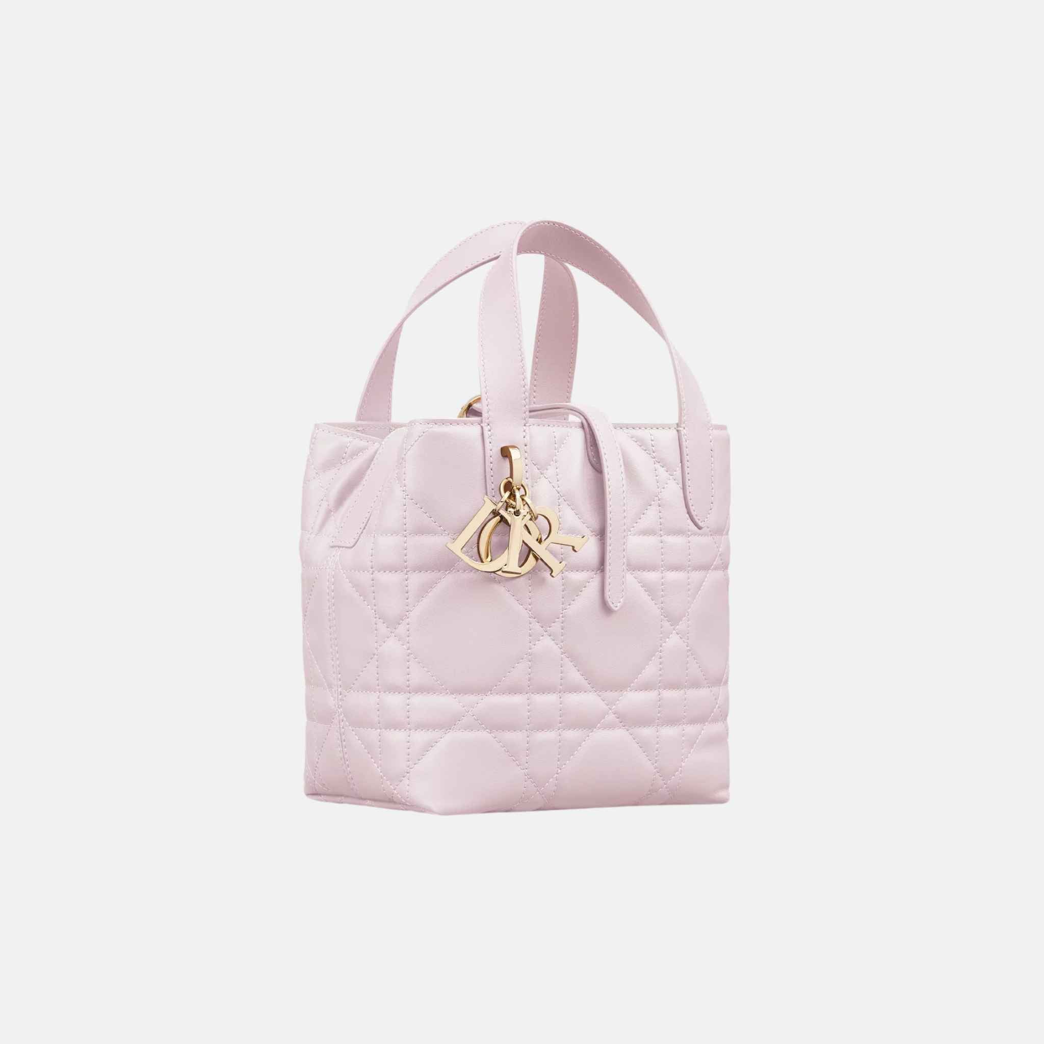 Small Toujours Vertical Tote Bag