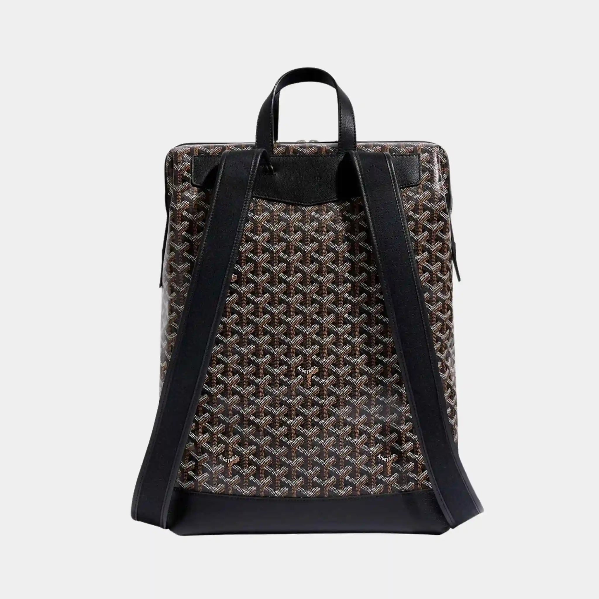 Cisalpin Backpack