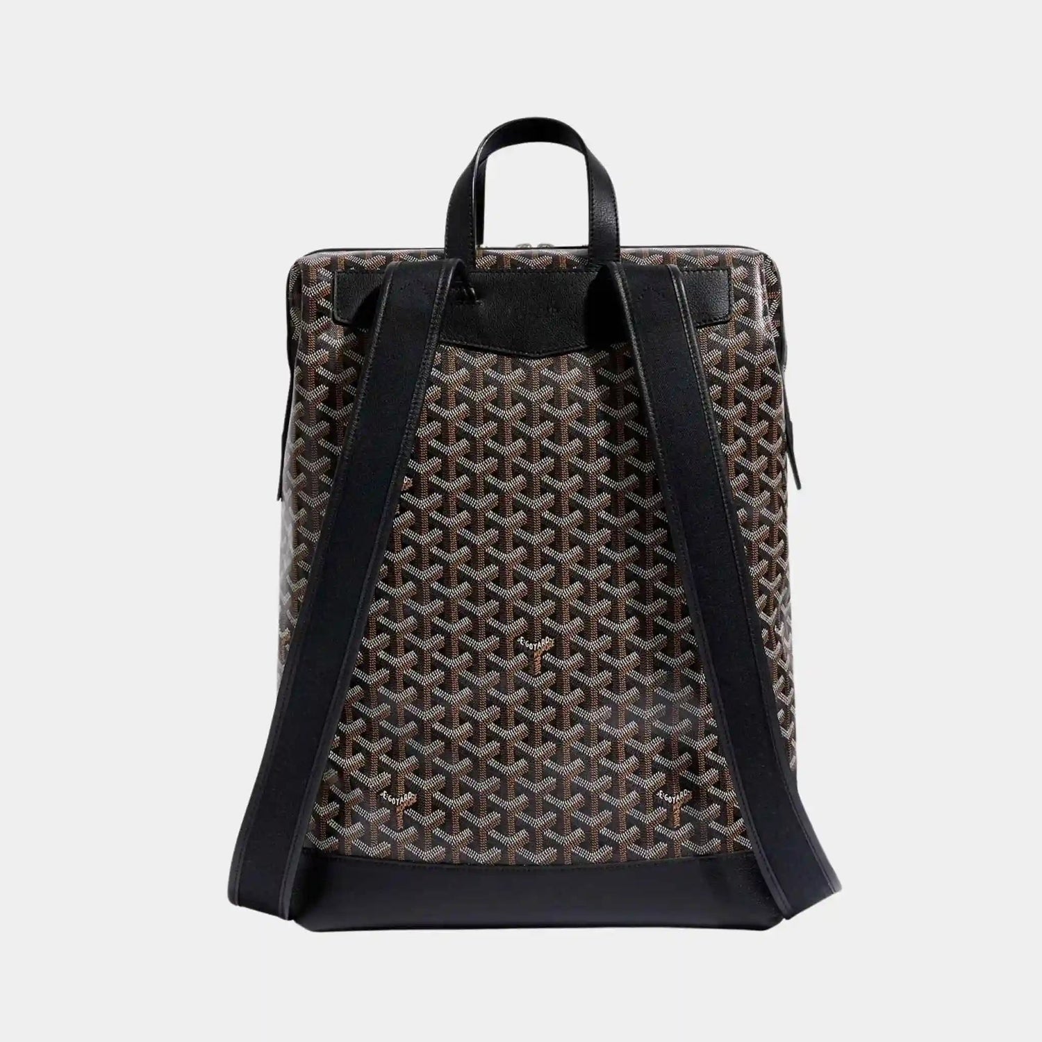 Cisalpin Backpack