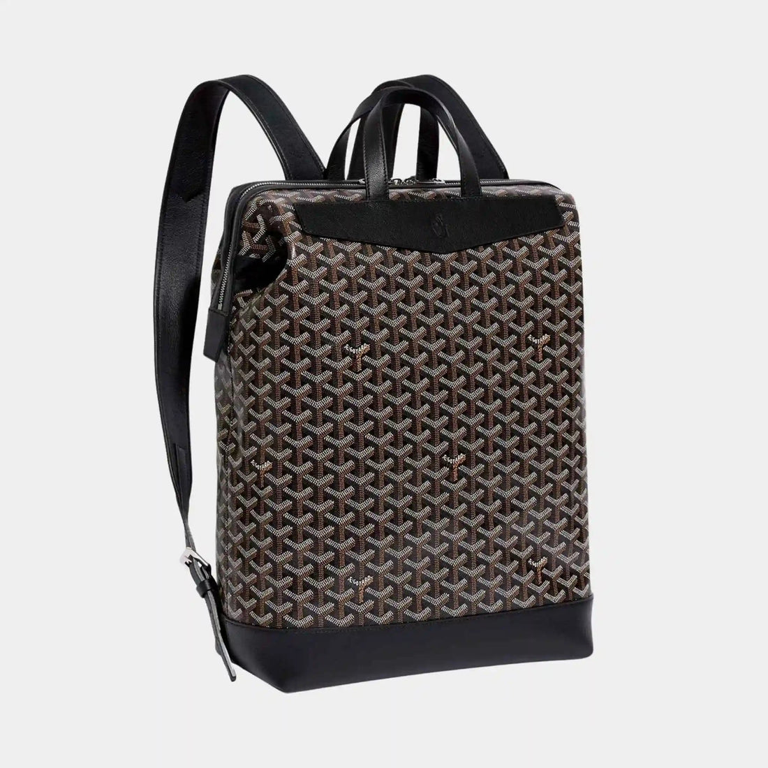 Cisalpin Backpack