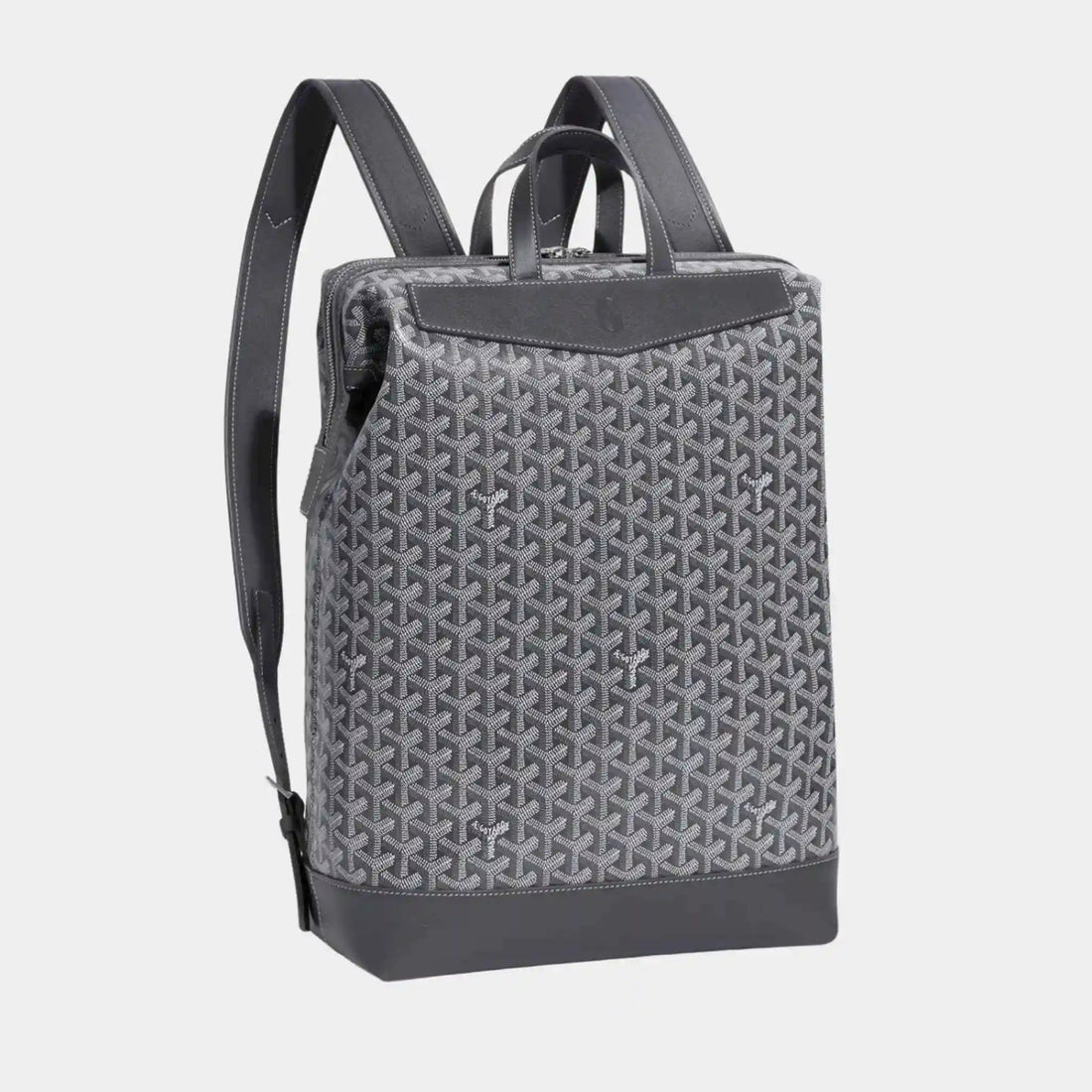 Cisalpin Backpack