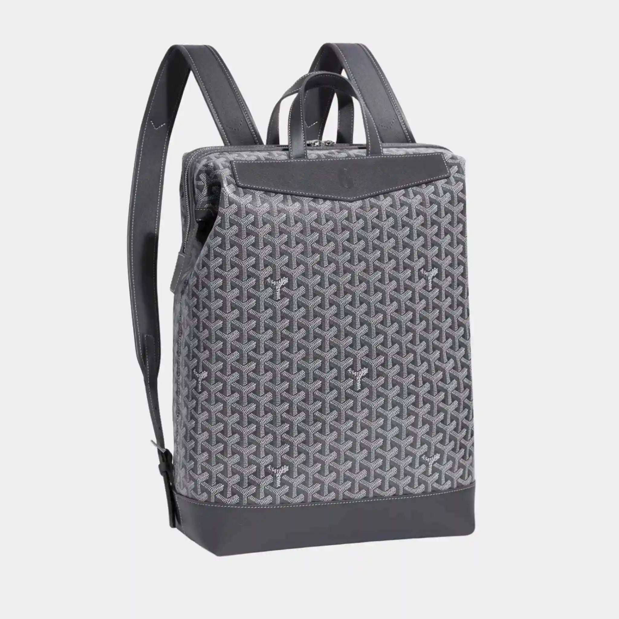 Cisalpin Backpack