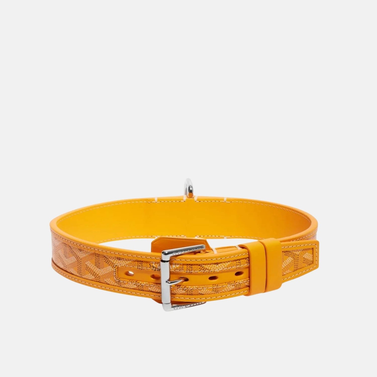 Franklin Luxury Dog Collar