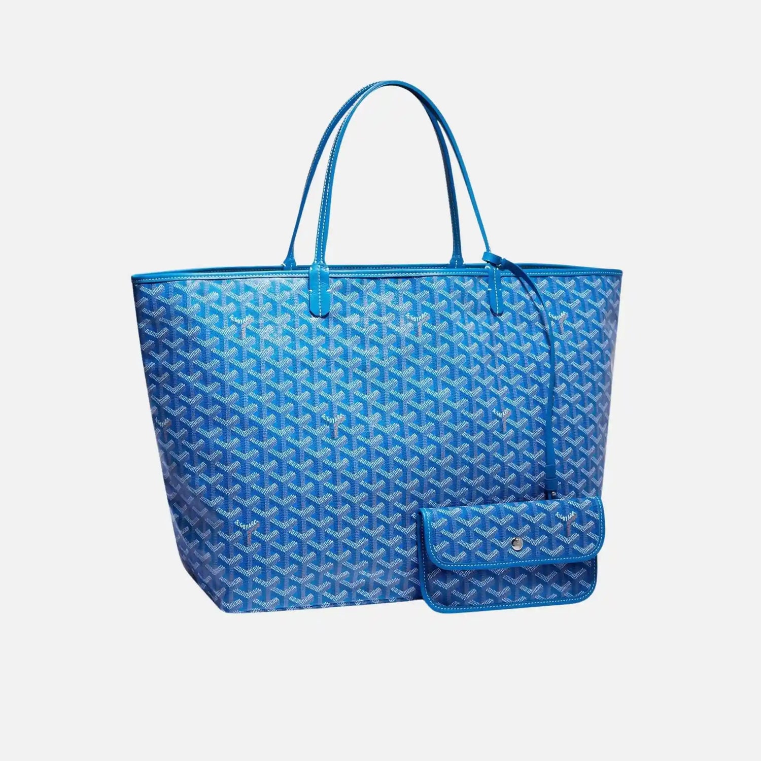 Saint Louis GM Bag