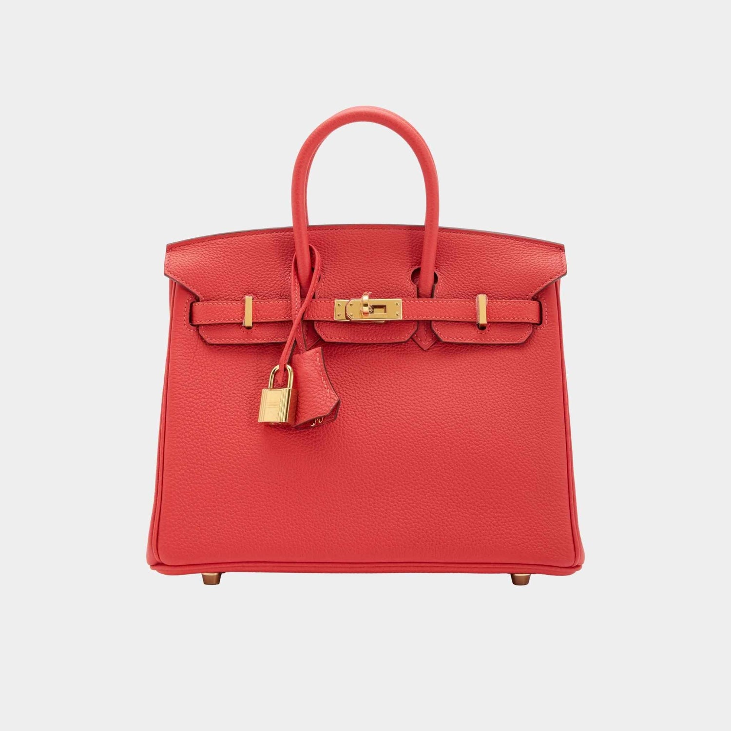 Birkin 25 Togo Tomato Rouge