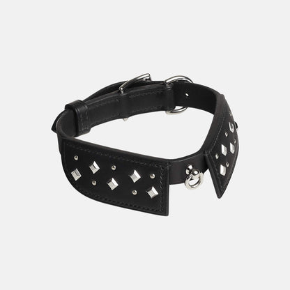 Black Tie Luxury Dog Collar