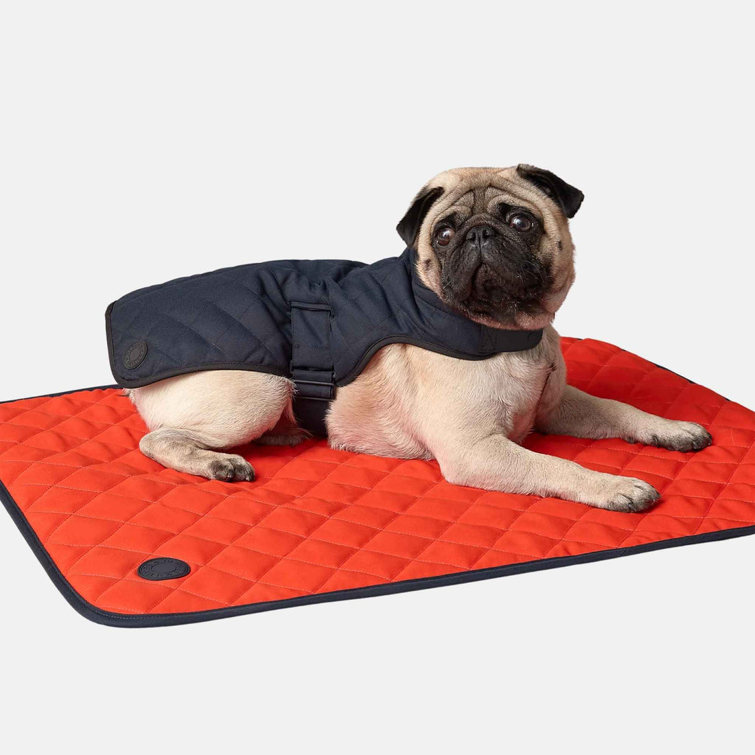 Luxury Dog Coat In Polyester