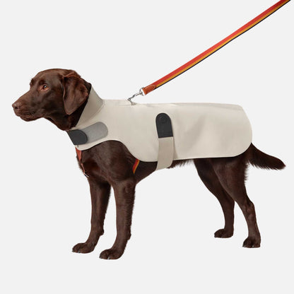 Luxury Dog Raincoat