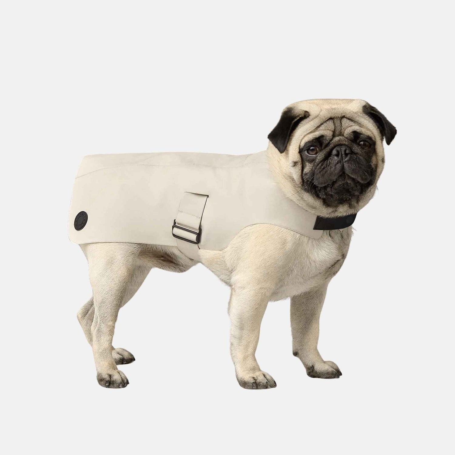 Luxury Dog Raincoat