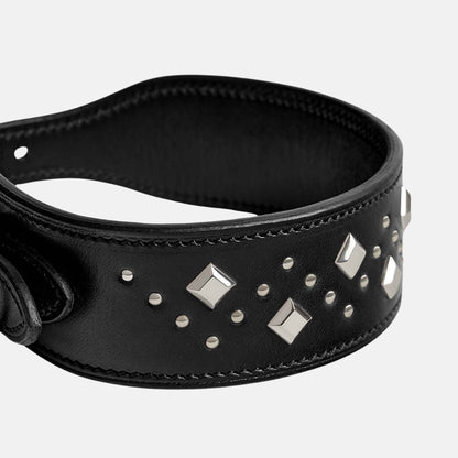 Punch Luxury Dog Collar