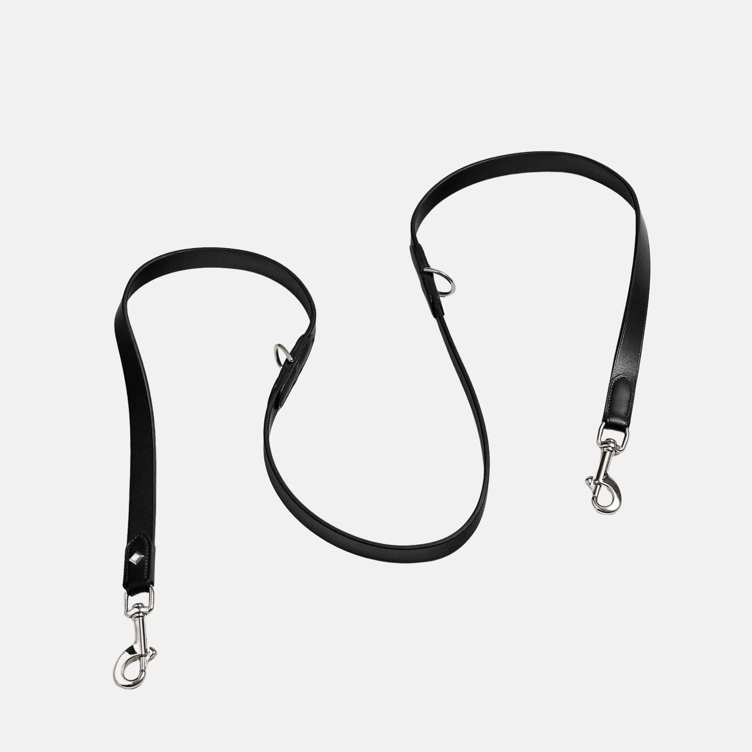 Punch Luxury Dog Leash