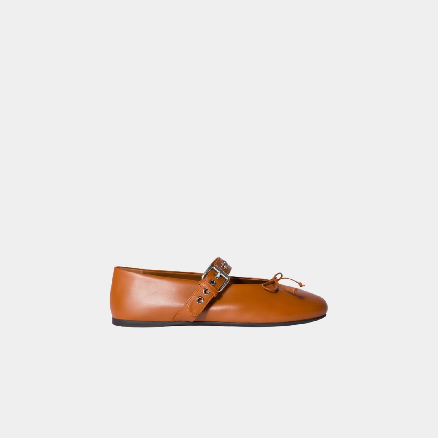 Leather Ballerinas